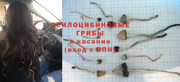 гашик Аркадак