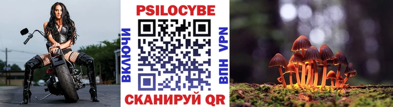 Галлюциногенные грибы прущие грибы  сколько стоит  Приморск 