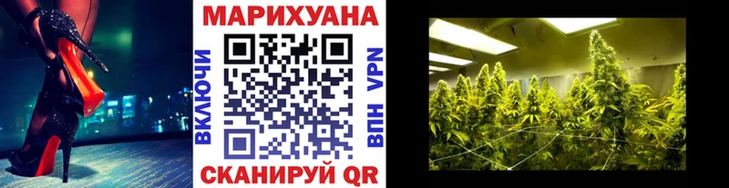 MEGA сайт  где купить наркотик  Приморск  МАРИХУАНА конопля 